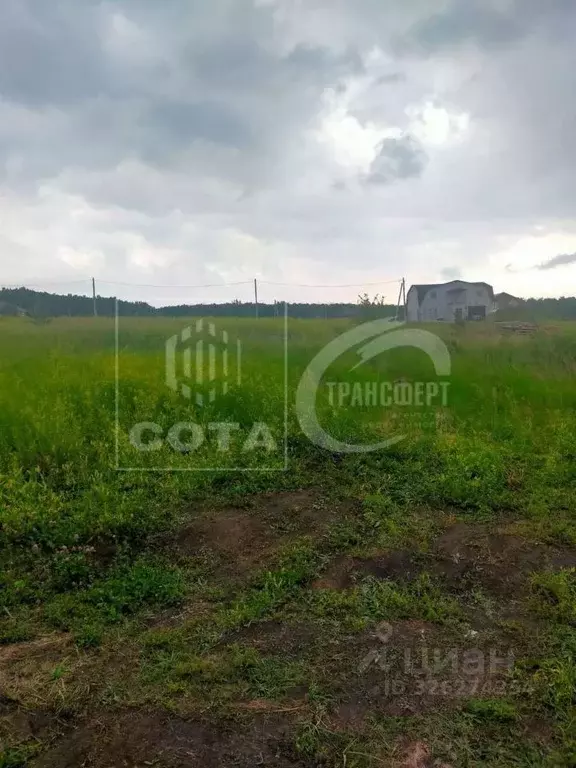 Участок в Воронежская область, Семилукский район, с. Девица, Поречье ... - Фото 2