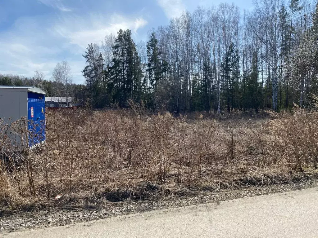 Участок в Свердловская область, Белоярский муниципальный округ, ... - Фото 1