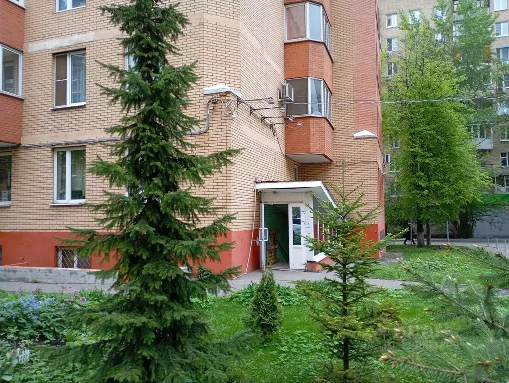 Помещение свободного назначения в Московская область, Балашиха ... - Фото 1
