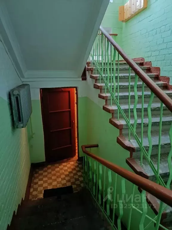 2-к кв. Пермский край, Краснокамск ул. Культуры, 3 (56.0 м) - Фото 2