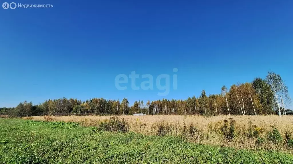 Участок в Ковровский район, муниципальное образование Малыгинское, ... - Фото 1