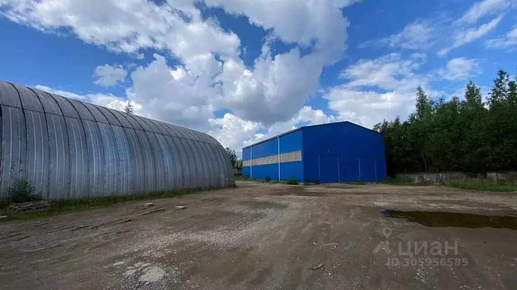 Склад в Новгородская область, Новгородский район, Панковское городское ... - Фото 2