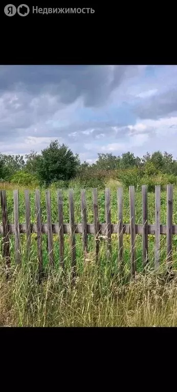 Участок в Красноярский край, Емельяновский муниципальный округ, дачный ... - Фото 2