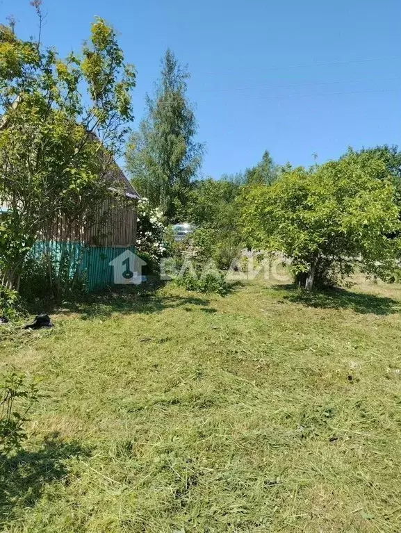 Участок в Ленинградская область, Волосовский район, д. Большая Вруда  ... - Фото 2