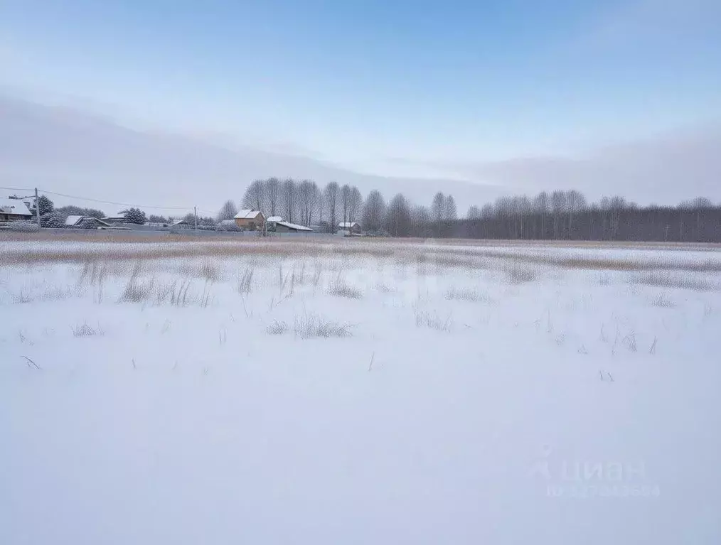 Участок в Владимирская область, Покров городской округ, пос. Нагорный ... - Фото 1