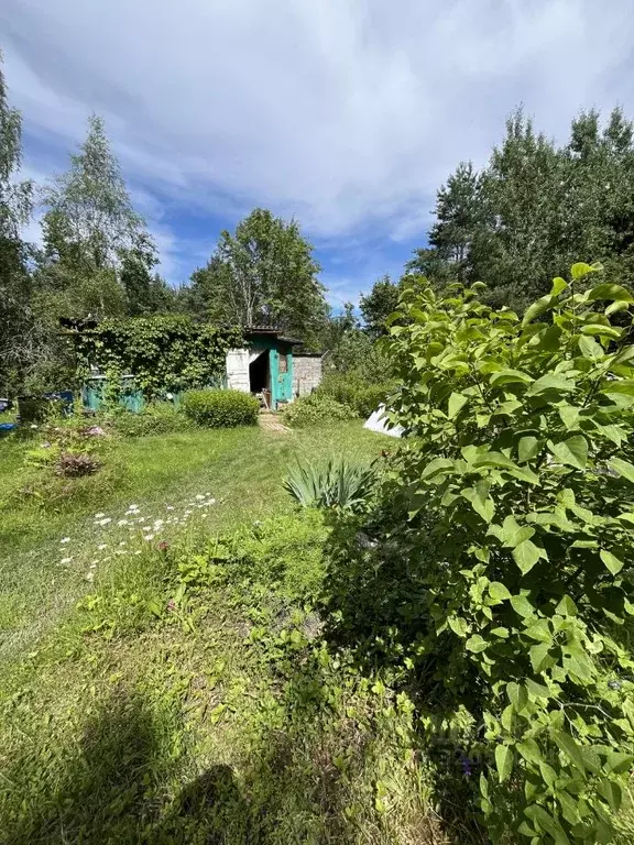 Дом в Ленинградская область, Лужский район, Мшинское с/пос, Сказка СНТ ... - Фото 1