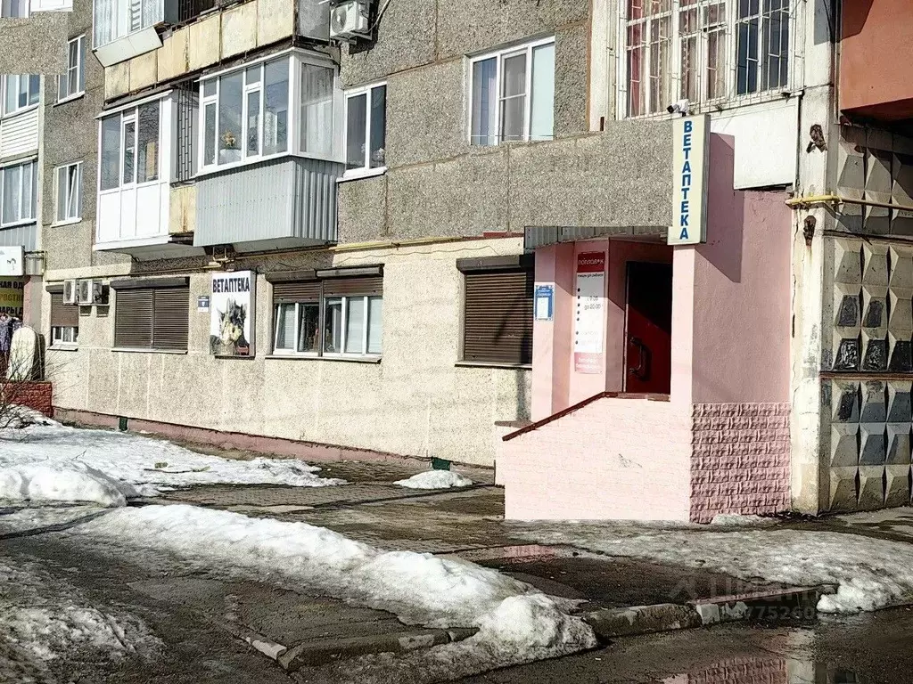 Торговая площадь в Вологодская область, Череповец просп. Победы, 131 ... - Фото 1