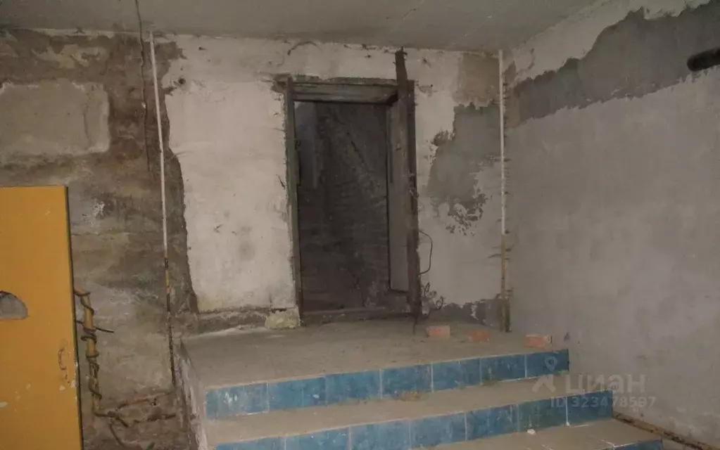 Помещение свободного назначения в Новосибирская область, Новосибирск ... - Фото 1