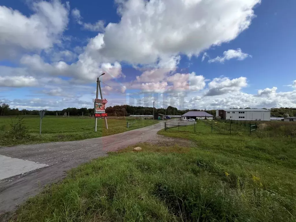 Склад в Калининградская область, Зеленоградский муниципальный округ, ... - Фото 2