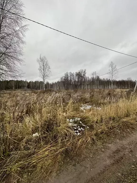 Участок 9,5 сот. (ИЖС) - Фото 0