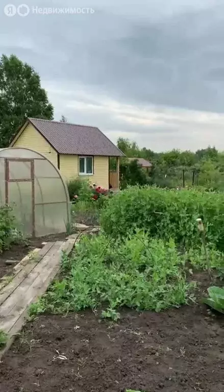 Дом в Новосибирская область, Коченёвский муниципальный район, НСТ ... - Фото 1