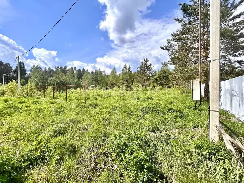 Участок в Смоленская область, Ярцево проезд Щекинский, 2 (14.5 сот.) - Фото 1