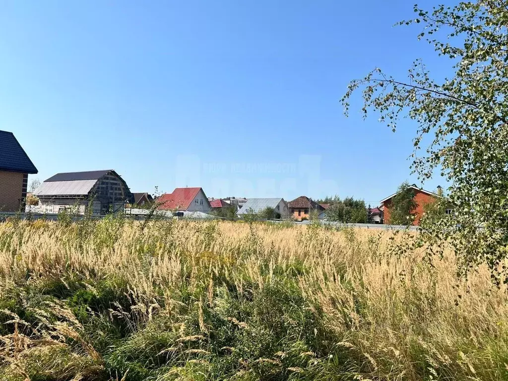 Участок в Калужская область, Совхоз Боровский с/пос, д. Кабицыно ул. ... - Фото 1