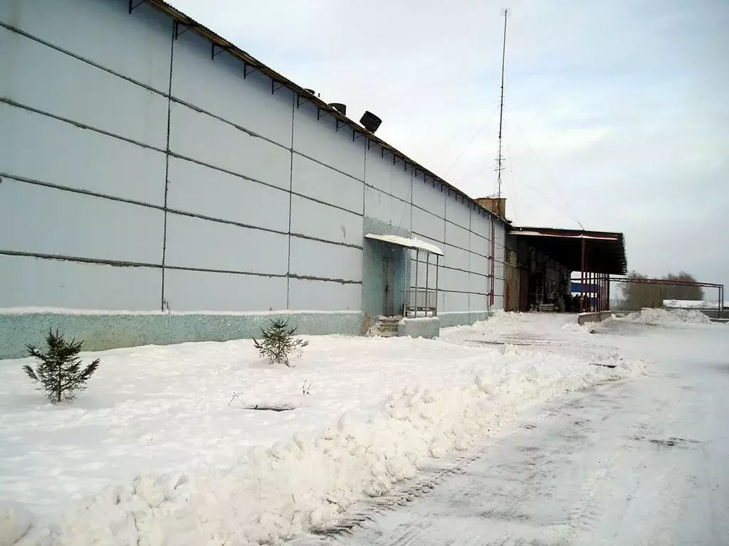 Склад в Новосибирская область, Новосибирский район, Мичуринский ... - Фото 0