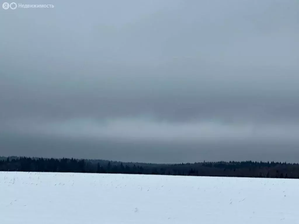 Участок в Сергиево-Посадский городской округ, деревня Алферьево (20 м) - Фото 0