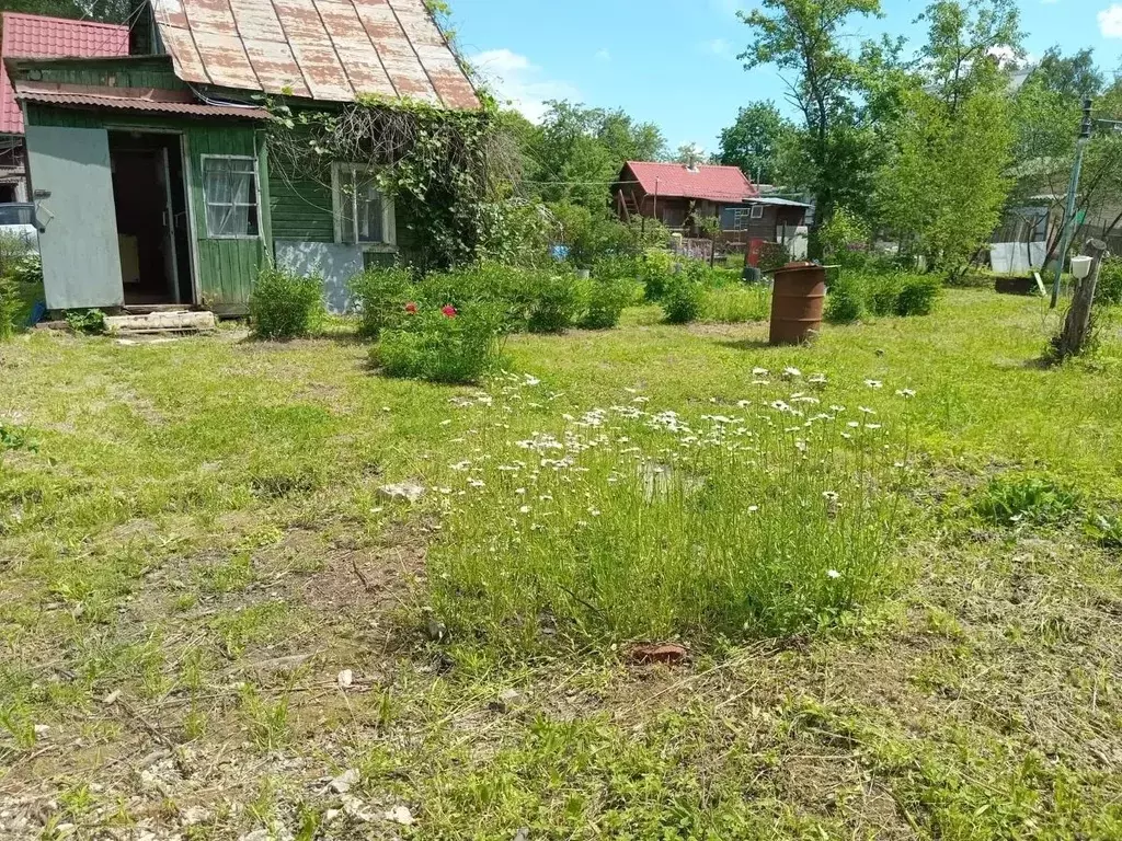 Участок в Московская область, Домодедово Калининец-2 СНТ, 31 (8.0 ... - Фото 2