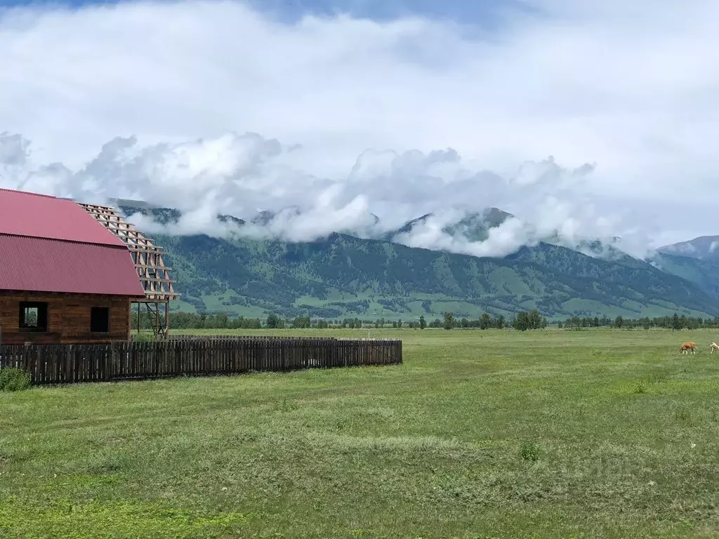 Участок в Алтай, Усть-Коксинский район, пос. Октябрьское  (20.0 сот.) - Фото 1