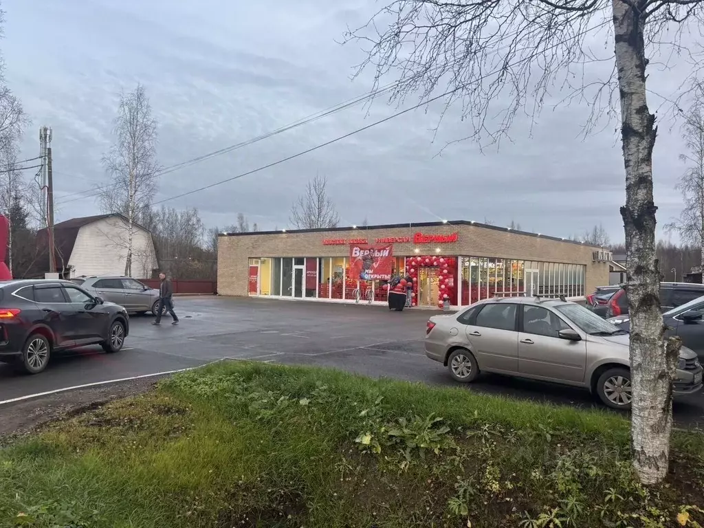 Торговая площадь в Ленинградская область, Всеволожский район, ... - Фото 1