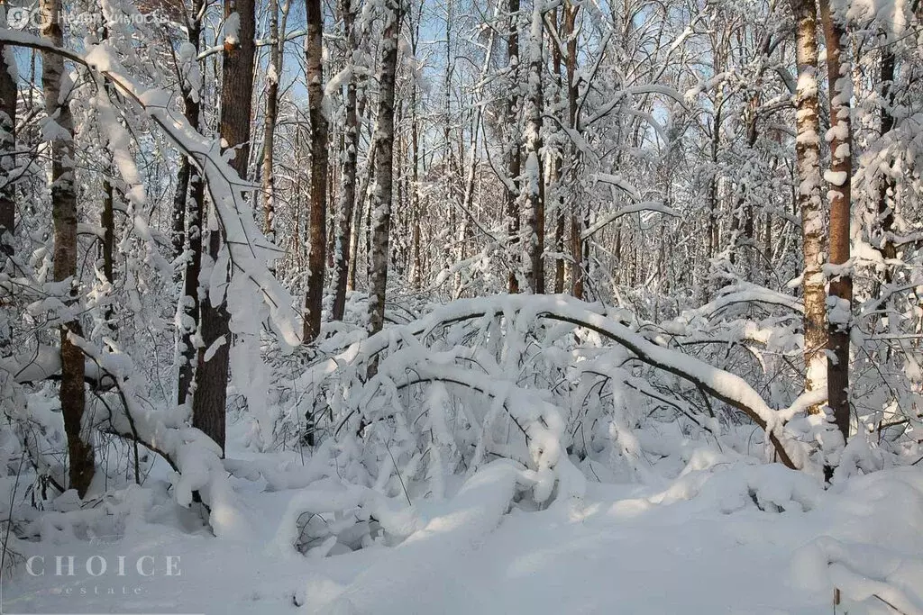Участок в деревня Поздняково, КП Никольская слобода (24.5 м) - Фото 2