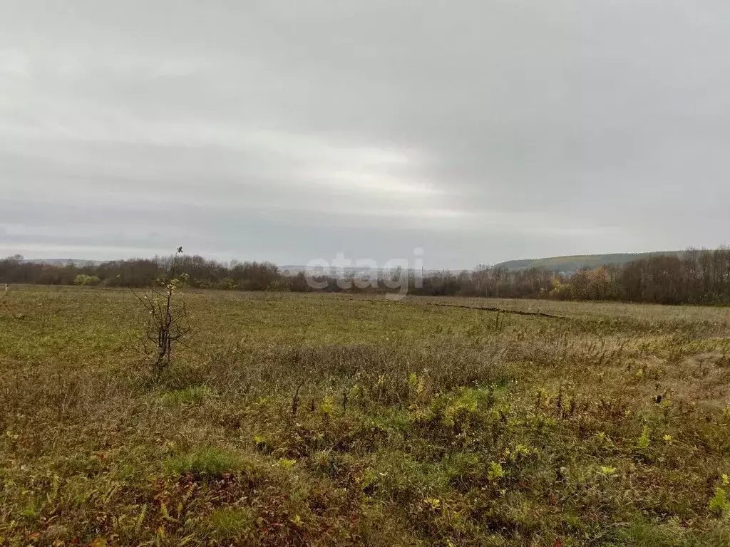 Участок в Башкортостан, Гафурийский район, Красноусольский сельсовет, ... - Фото 1