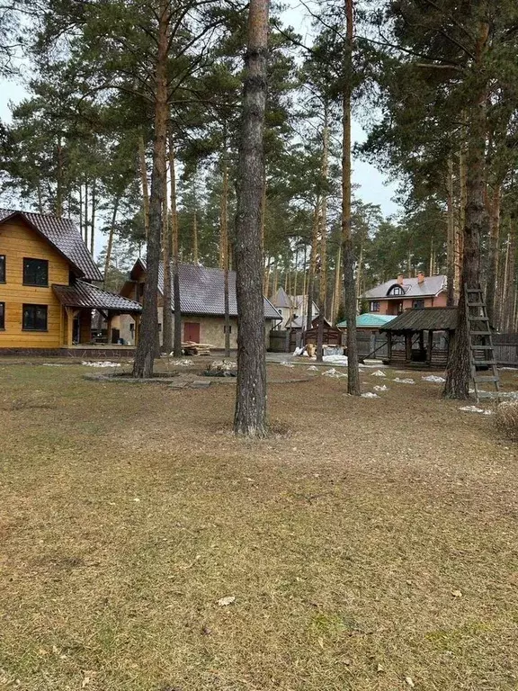 Участок в Новосибирская область, Новосибирский район, Кудряшовский ... - Фото 1