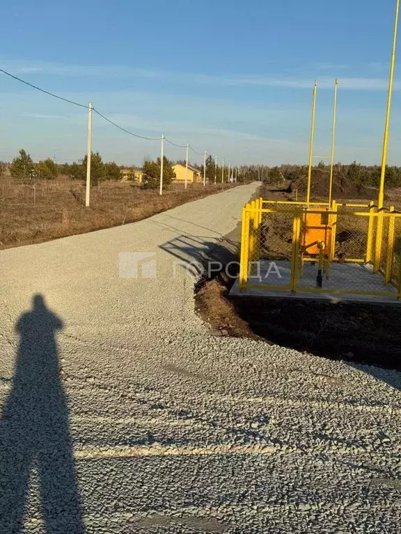 Участок в Алтайский край, Первомайский район, с. Фирсово, Рощино мкр ... - Фото 1