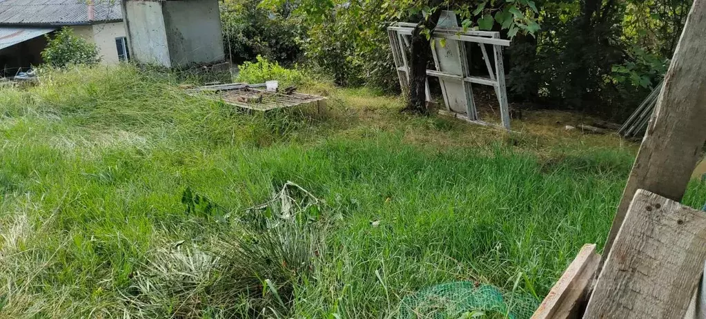 Участок в Краснодарский край, Сочи городской округ, с. Васильевка, ... - Фото 1