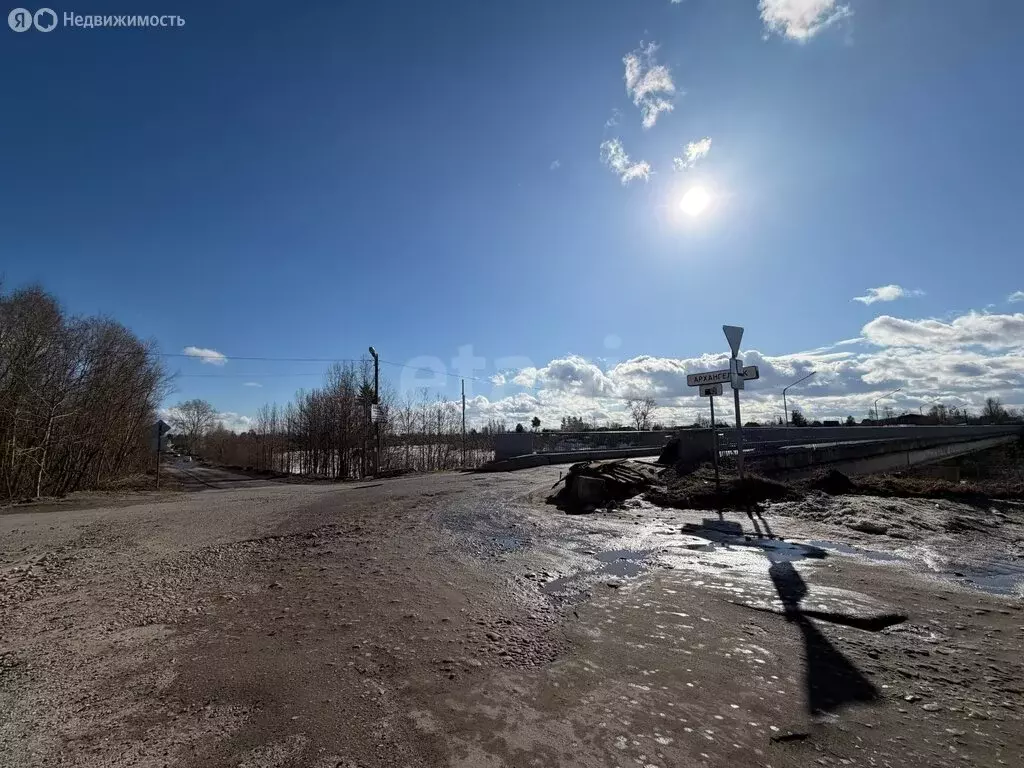 Участок в Архангельская область, Приморский муниципальный округ, СНТ ... - Фото 1