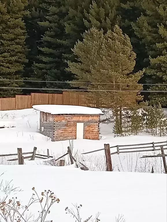 Участок в Томская область, Томский район, д. Большое Протопопово ул. ... - Фото 1