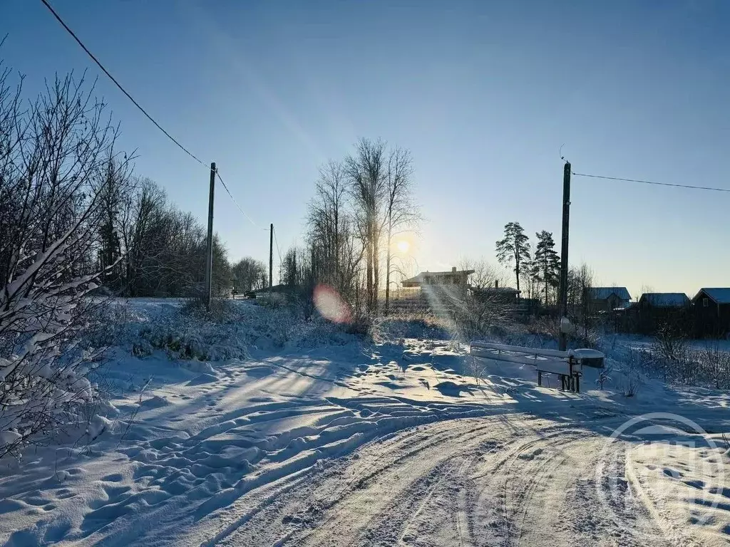 Участок в Ленинградская область, Выборгский район, Первомайское с/пос, ... - Фото 2