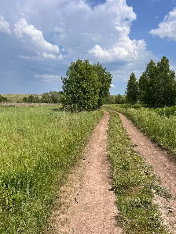 Участок в Нижегородская область, Дивеевский муниципальный округ, д. ... - Фото 1