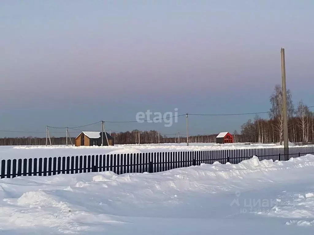 Участок в Тюменская область, Тюменский район, Дачи Хюгге ДНТ ул. ... - Фото 0