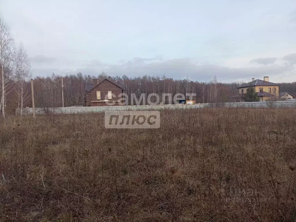Участок в Воронежская область, Новоусманский район, Усманское 1-е ... - Фото 0