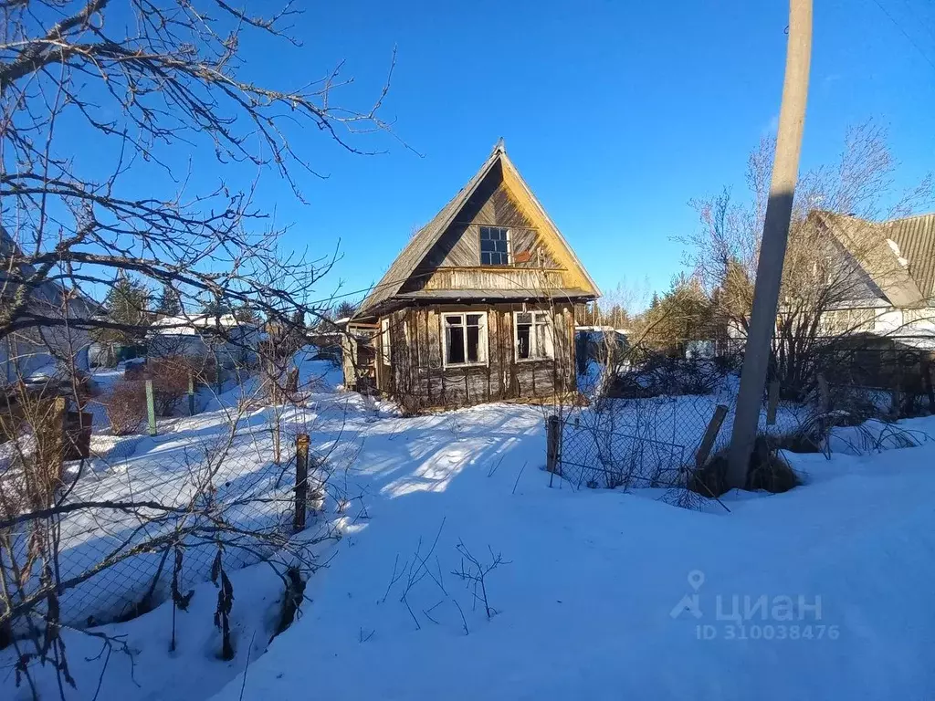 Участок в Ленинградская область, Лужский район, Мшинское с/пос, ... - Фото 1