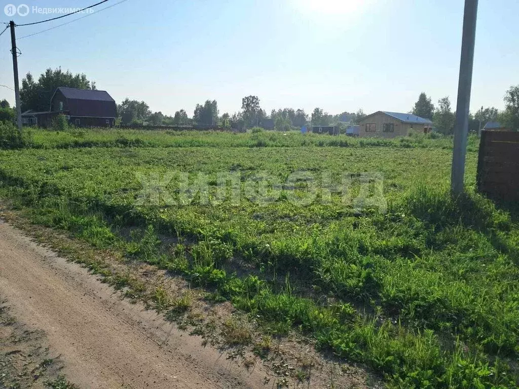 Участок в Новосибирская область, Коченёвский муниципальный район, СНТ ... - Фото 2