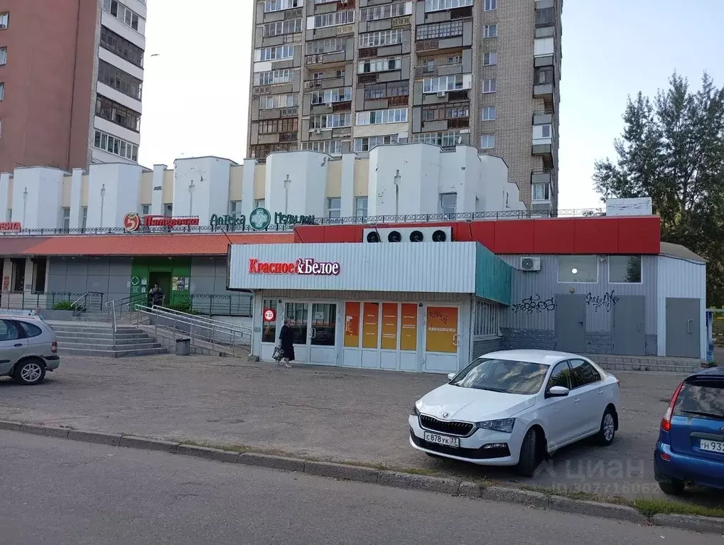 Торговая площадь в Владимирская область, Владимир Добросельская ул., ... - Фото 1