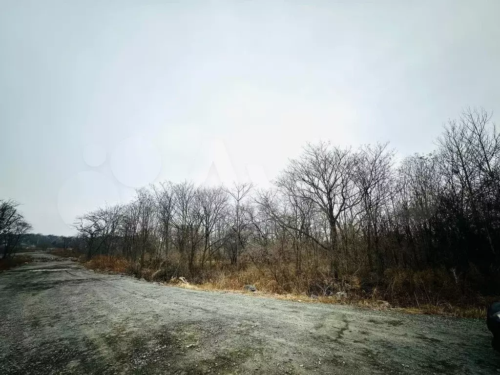Участок 20 сот. (ИЖС) - Фото 1