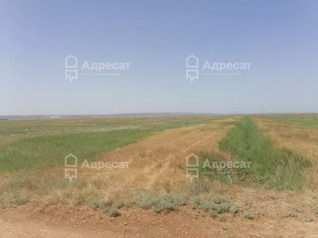 Участок в Волгоградская область, Светлоярский район, с. Большие ... - Фото 1