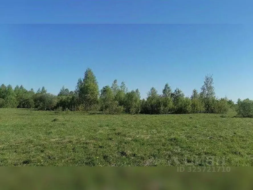 Участок в Московская область, Сергиево-Посадский городской округ, д. ... - Фото 2