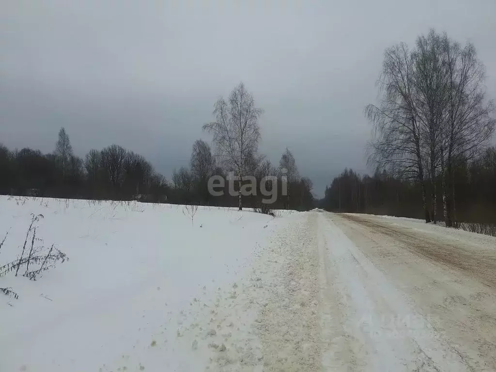Участок в Псковская область, Островский район, Воронцовская волость, ... - Фото 2