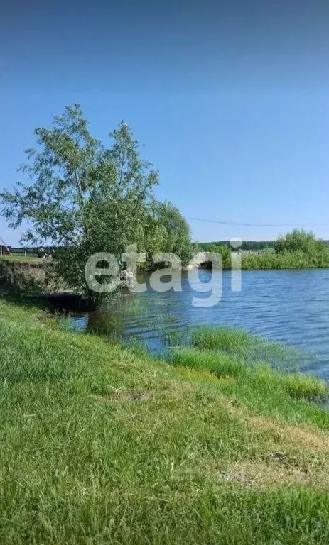 Участок в Красноярский край, Емельяновский район, с. Устюг  (11.6 ... - Фото 1