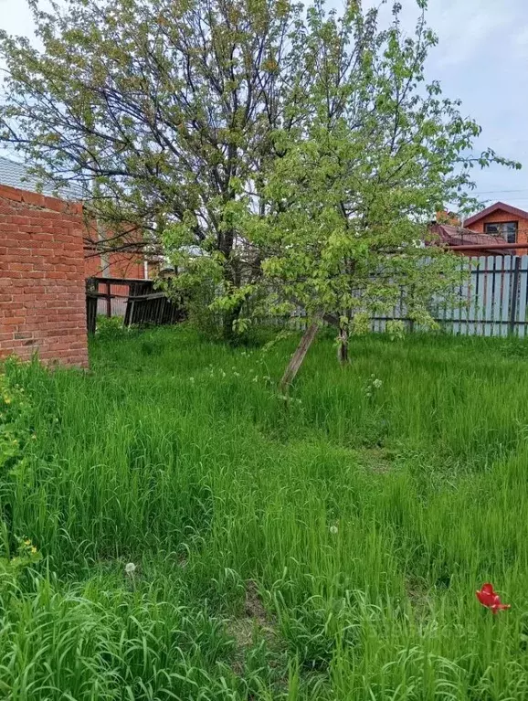 Участок в Адыгея, Майкоп ул. Некрасова (4.6 сот.) - Фото 1