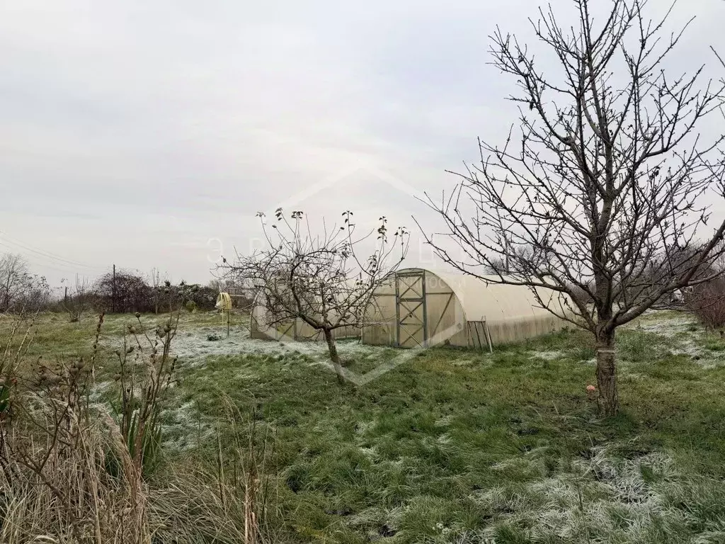 Дом в Калининградская область, Зеленоградский муниципальный округ, ... - Фото 1
