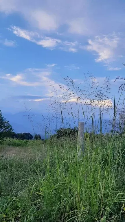 Участок в Ростовская область, Волгодонск  (4.0 сот.) - Фото 1