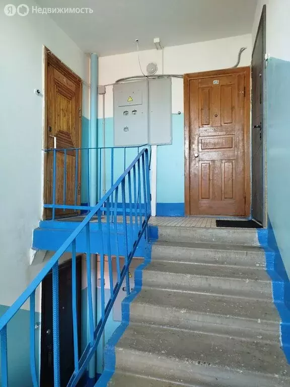 2-комнатная квартира: Кириши, Волховская набережная, 36 (52.7 м) - Фото 1