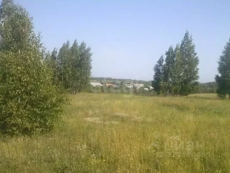 Участок в Вологодская область, д. Чашниково (Семенковский сельсовет), ... - Фото 1