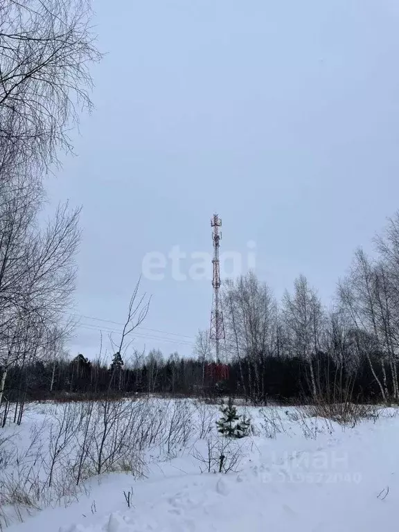 Участок в Владимирская область, Меленковский муниципальный округ, д. ... - Фото 1