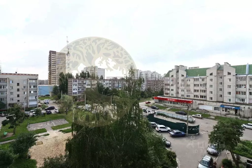 3-к кв. Воронежская область, Семилуки Транспортная ул., 14 (75.6 м) - Фото 2
