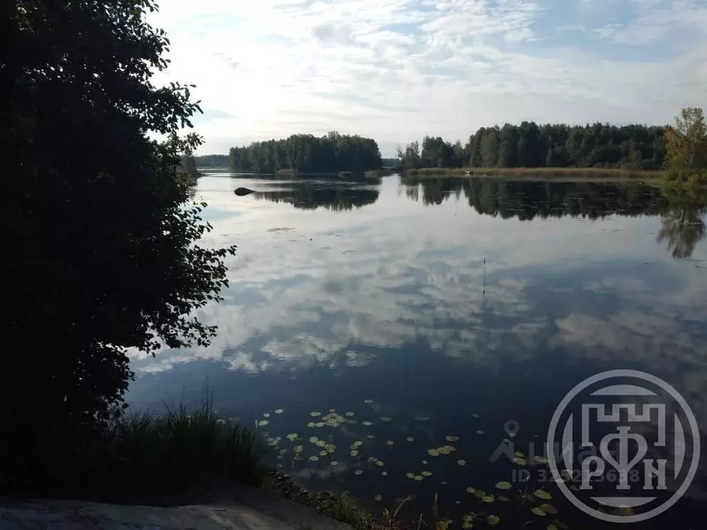 Участок в Ленинградская область, Приозерский район, Ларионовское ... - Фото 2