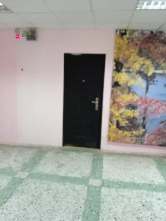 Помещение свободного назначения в Архангельская область, Мирный ул. ... - Фото 0